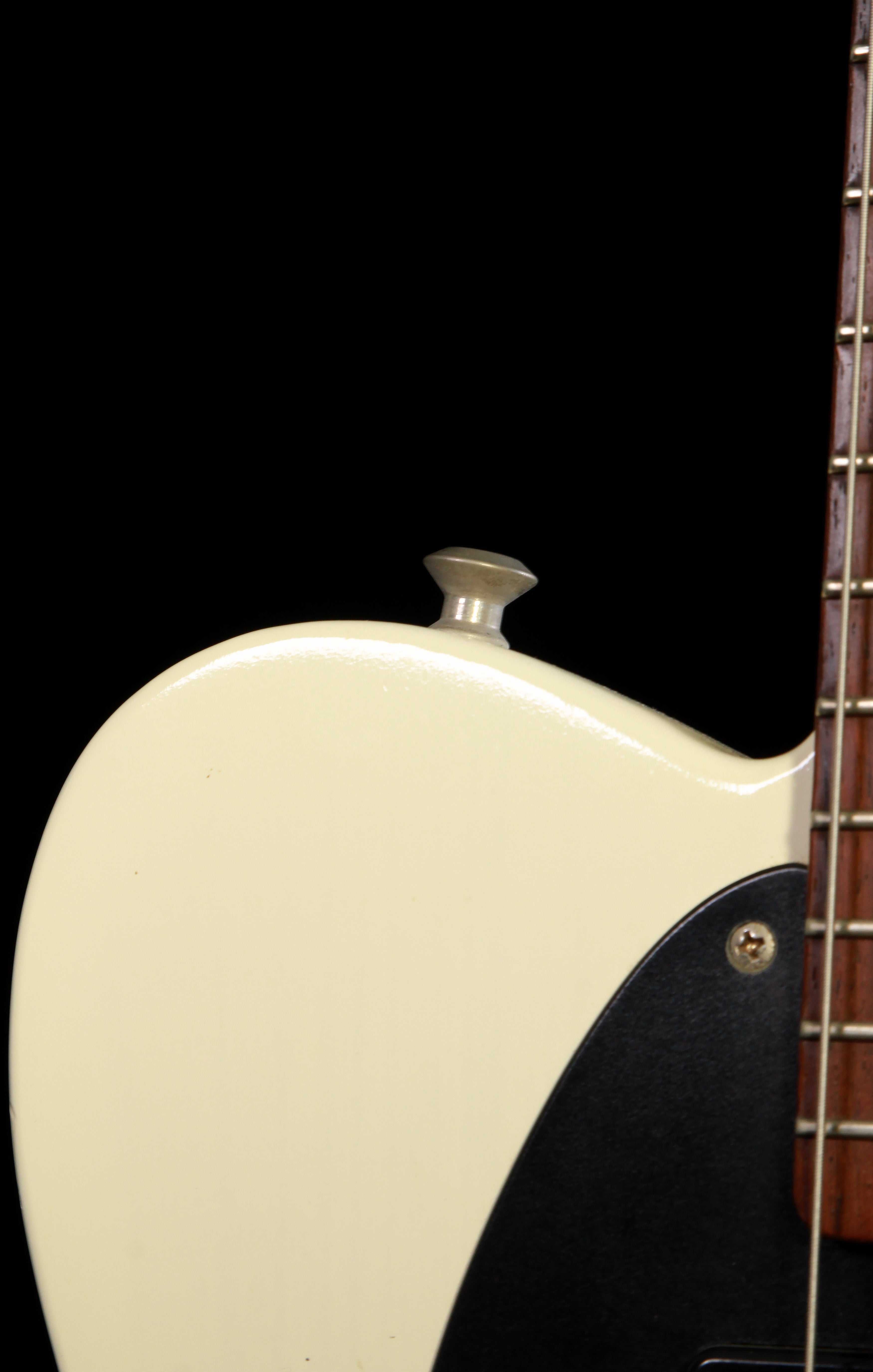 Van Zandt Vintage N Telecaster Neck PU - その他